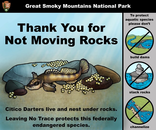 A animated Citico Darter below text that says, "Thank You for Not Moving Rocks." Circles with a slash through them say, "please don't build dams, stack rocks, or channelize." "Citico darters live and nest under rocks." Leave No Trace.