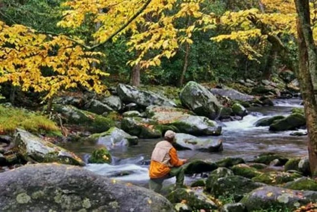 A fly fisherman in a rocky stream with fall foliage overhead.