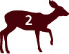 Mule Deer Graphic