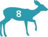 Mule Deer Graphic