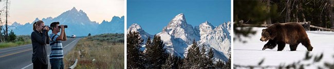 Three photos of the park to represent photo galleries