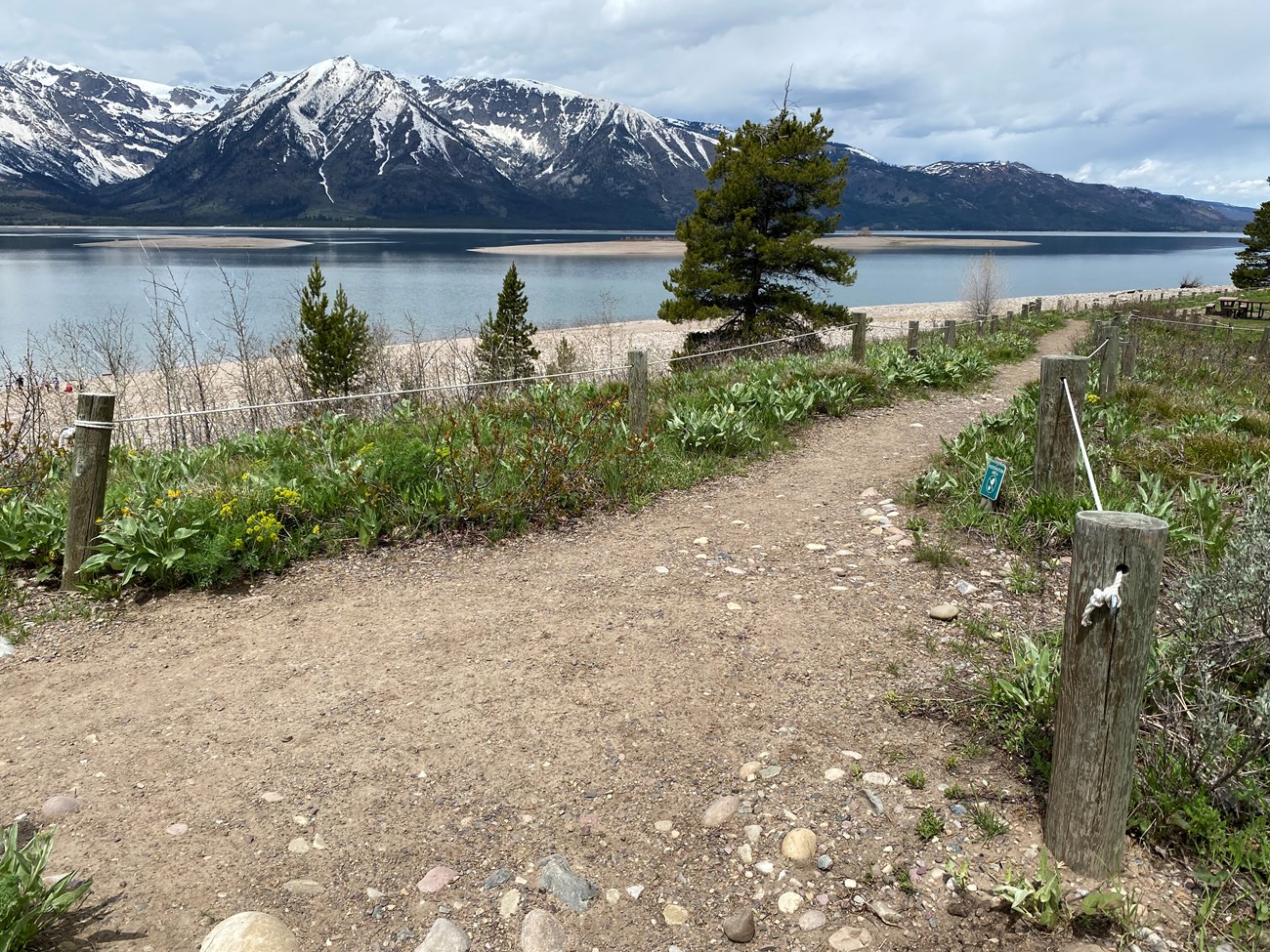 Natural pathway running along Jackson Lake shoreline.