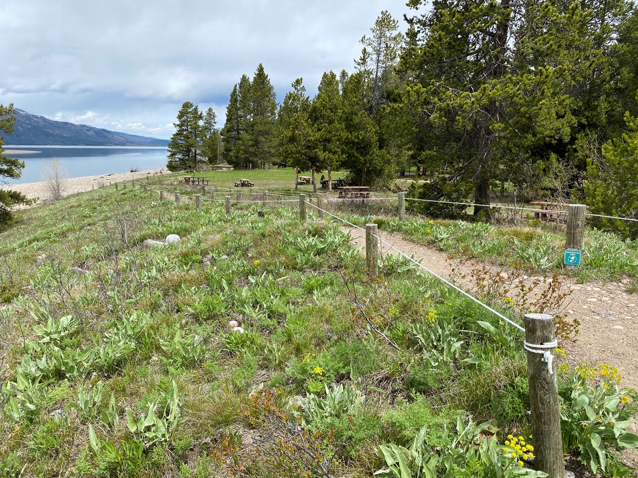 Natural pathway heading back to picnic area along shoreline.