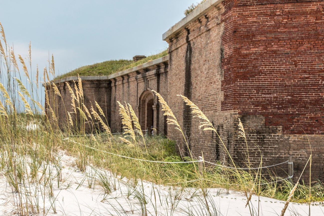 Sea oats stand in the foreground with a large masonry fort in the background.