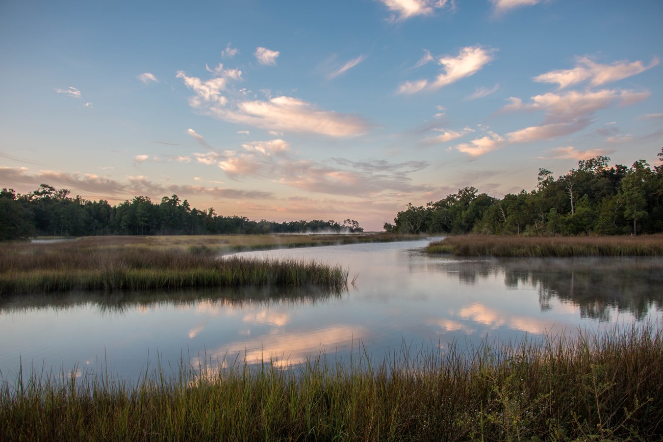 Reflective water flows between green grass. The morning sky above is light blue.