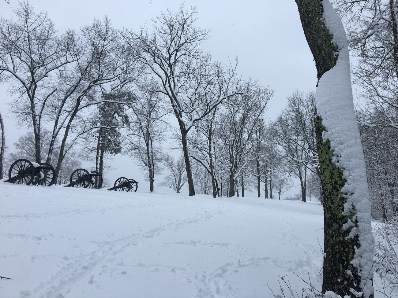 Cannons at Bolivar Heights during a March snow.