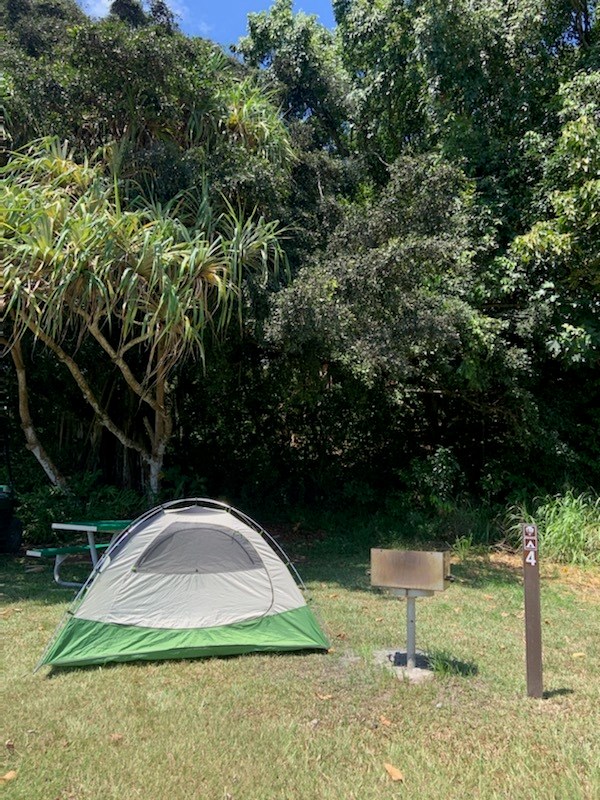 tent in grass under trees with grill and picnic table