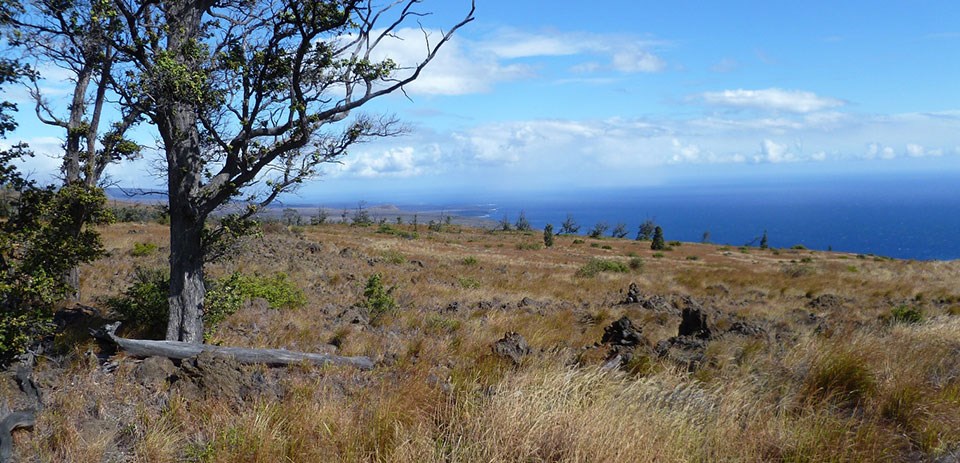 Ocean view from Pepeiao