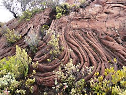 Pahoehoe has a ropy surface....