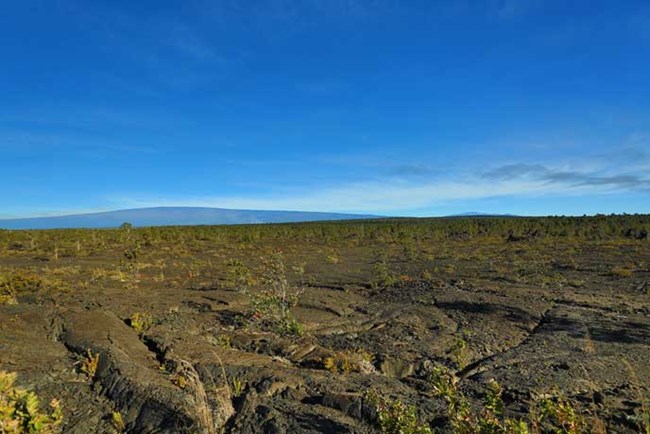 Mauna Loa and Mauna Kea