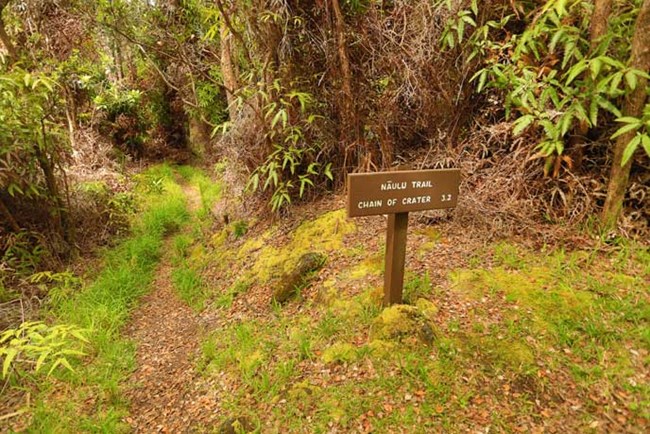 Nāulu junction