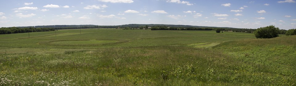 A large green, grassy field under a partly cloudy blue sky