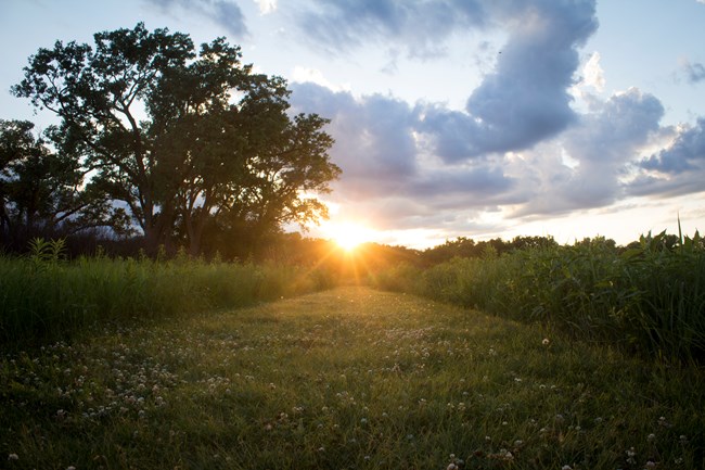 Trail through the tallgrass prairie at Homestead.