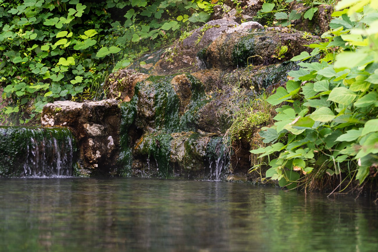 Water flows into a pool surrounded by bright green vegetation.