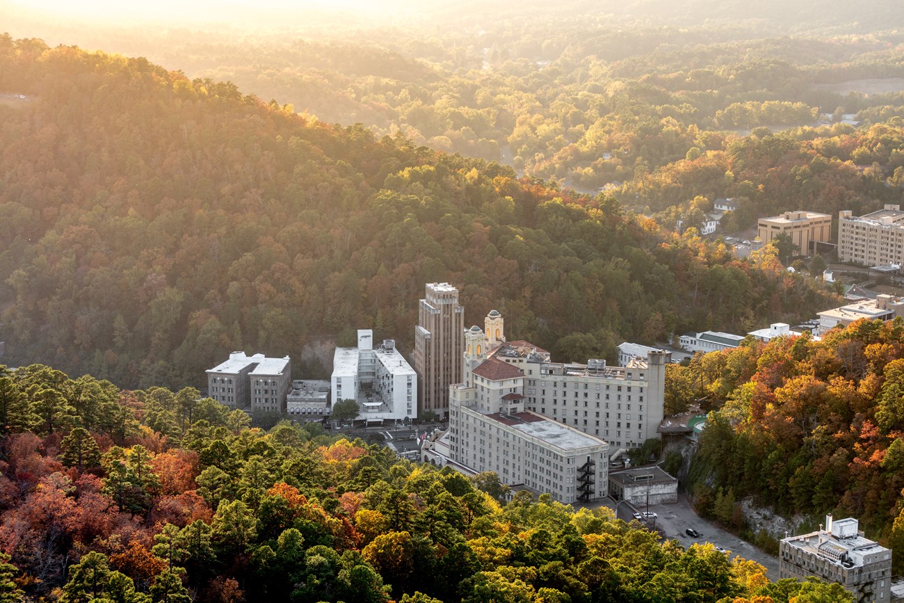 An elevated view looking over Hot Springs with rolling hills, tall evergreen pine trees and blooming deciduous trees. The sun is shining and casting a glow over the valley.