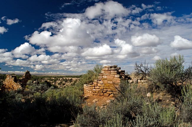 remains of stone walls amid desert vegetation and soil