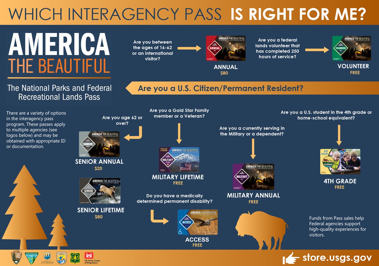 A flowchart explains how to determine the correct "America the Beautiful Pass" is right for their needs. Images of the different passes are blended with images of a pine tree and a Bison.