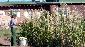 Hubbell Kitchen Garden