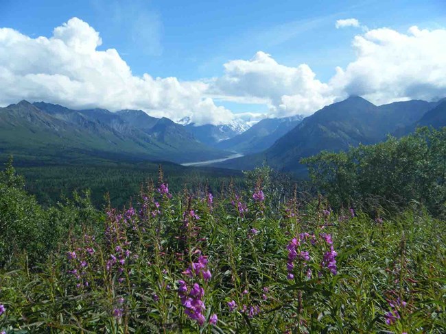 A scenic summer view of WRST