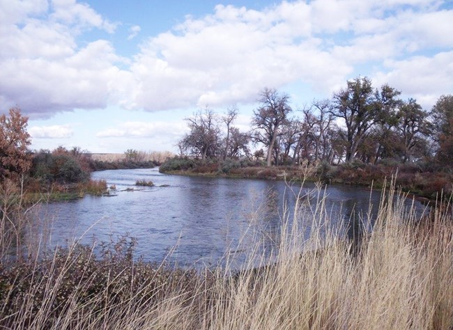 wide river winding through grassland and trees