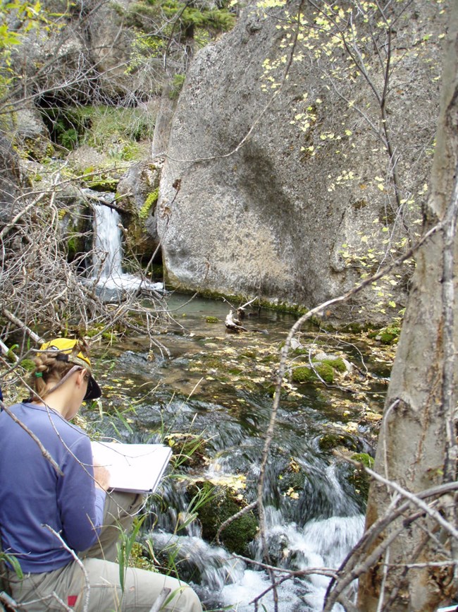 Woman takes notes next to a desert spring.