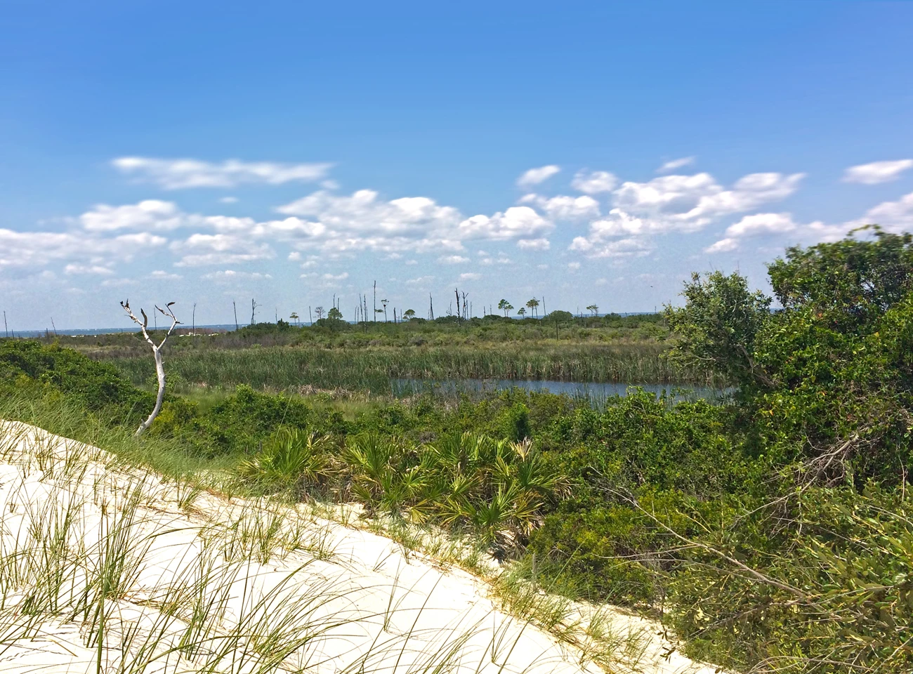 Horn Island interior wetland Wetland on the interior of Horn Island, Mississippi