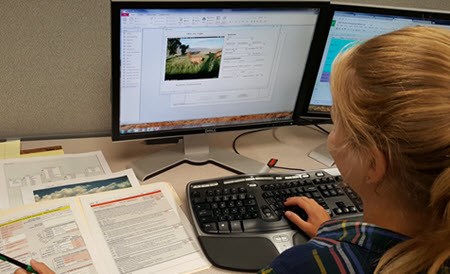 Staff member enters data into a computer