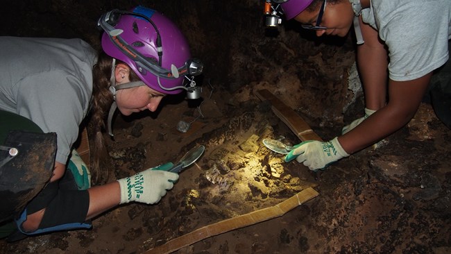 Researches kneeling on cave floor with magnifying glasses.