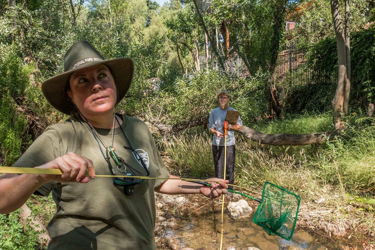 Biologists surveying a stream Biologists with measuring devices, a net, and a clipboard surveying a stream