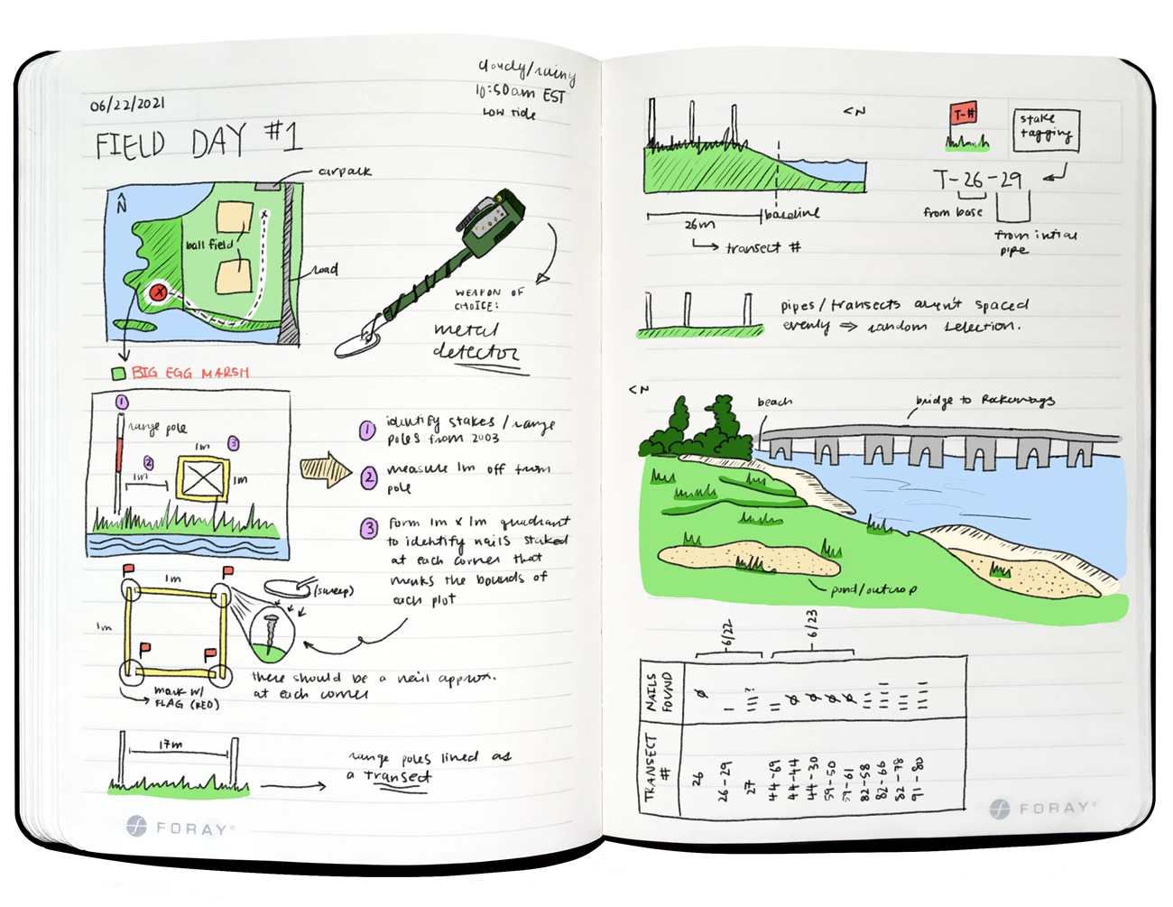 Big Egg Field Notes (1) Notes from fieldwork at Big Egg Marsh
