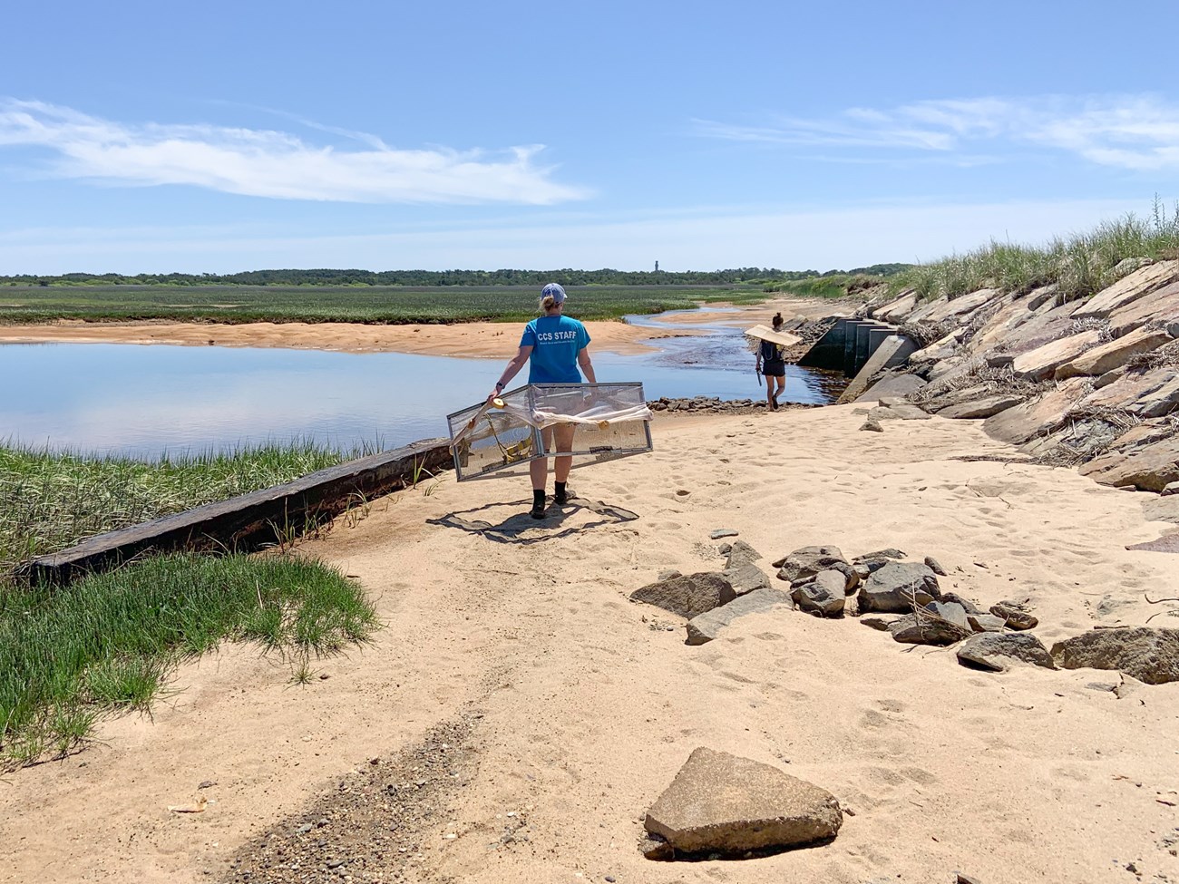 Two researchers carrying square-framed nets walk into the distance on a sandy beach lined by a stream