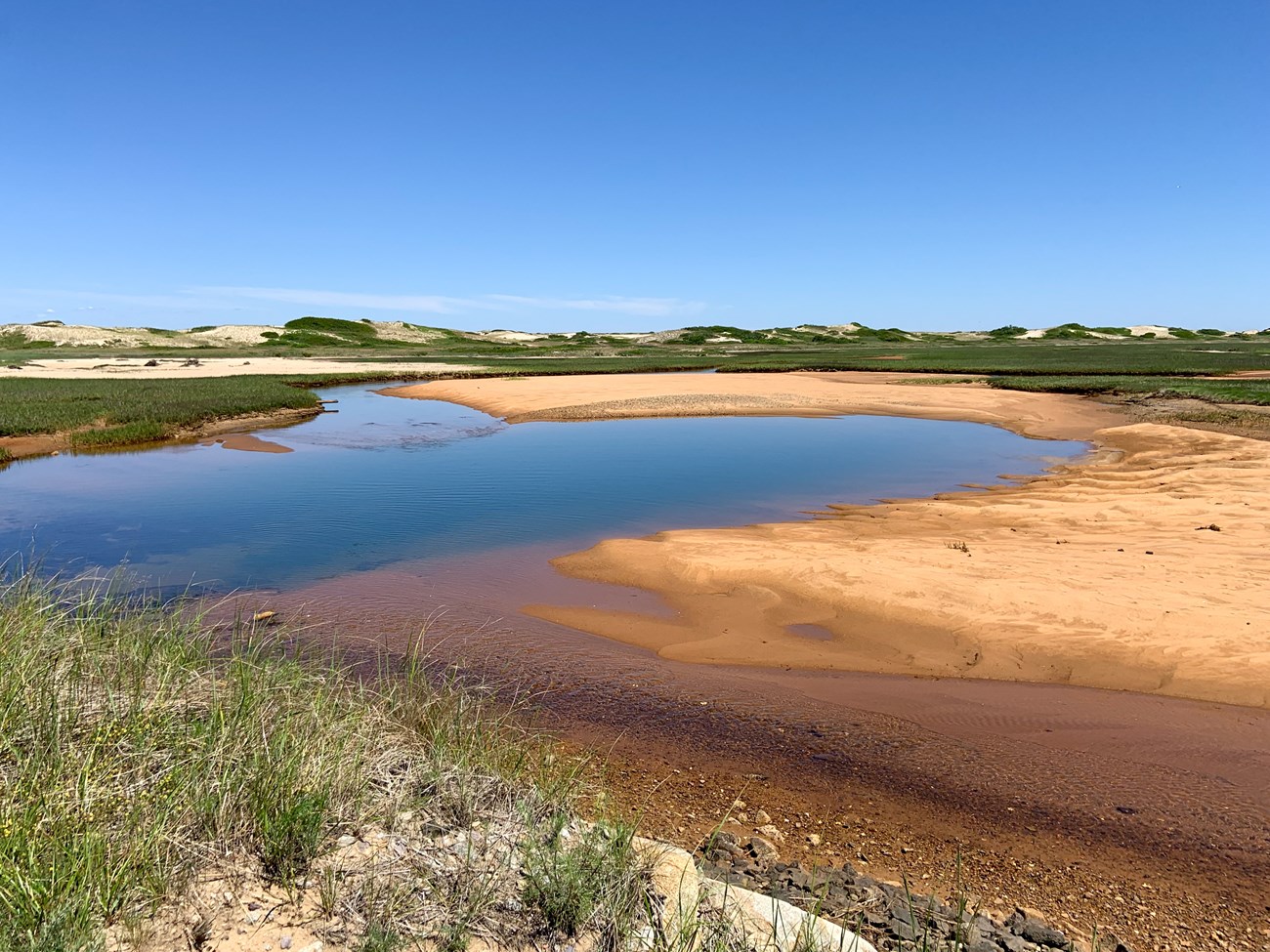 A clear stream flows into sandy beach. Beyond the beach are green vegetated salt marshes, which are lined with vegetated sand dunes