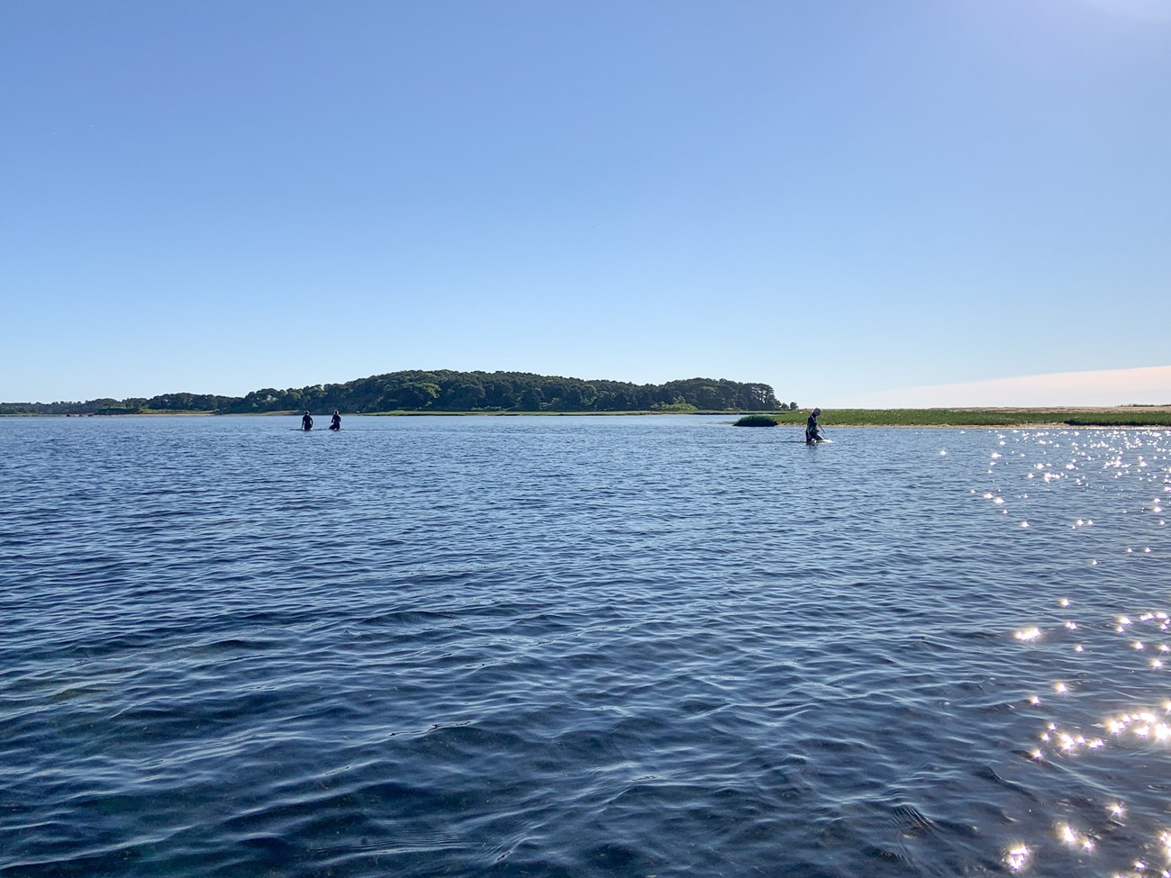 View of a wide river lined with trees and salt marsh under a blue, cloudless sky. Silhouettes of three field crew members are visible in the distance