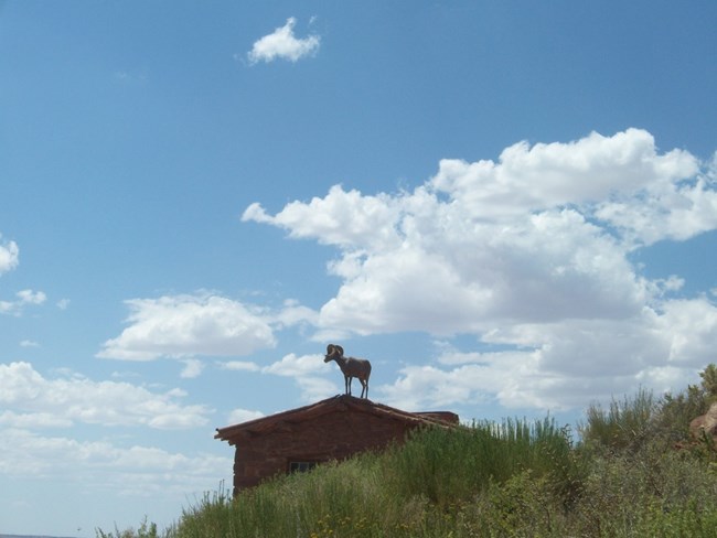 Bighorn sheep stands on cabin roof under a blue sky with scattered clouds.