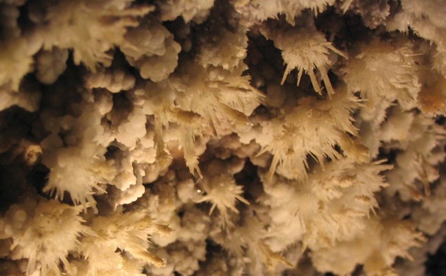 Timpanogos Cave is known for frostwork—brittle crystals made of aragonite, not calcite. Delicate needle-like frostwork formations growing on a cave wall.