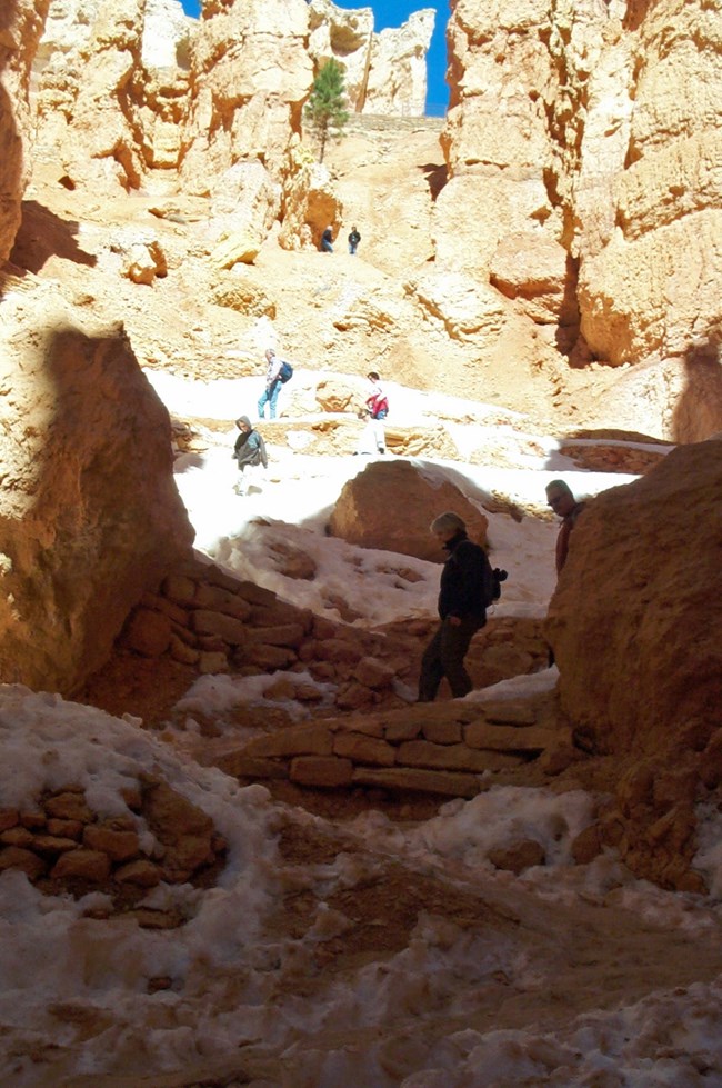 Hikers walking down snowy switchbacks between red rock walls