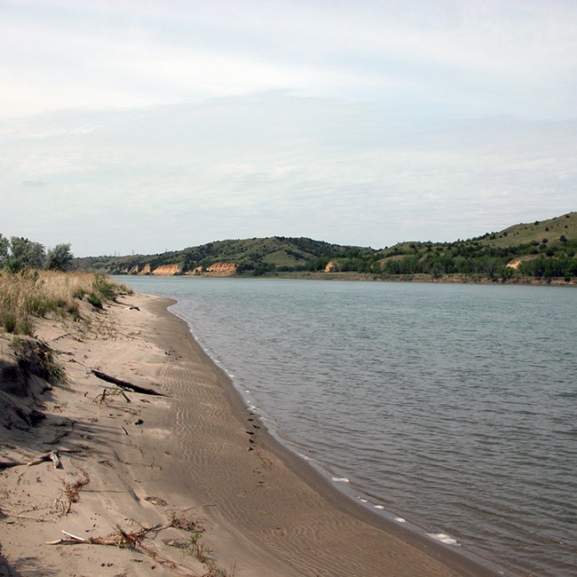 The Missouri River Wide view of a river with sandy banks and bushes in the foreground