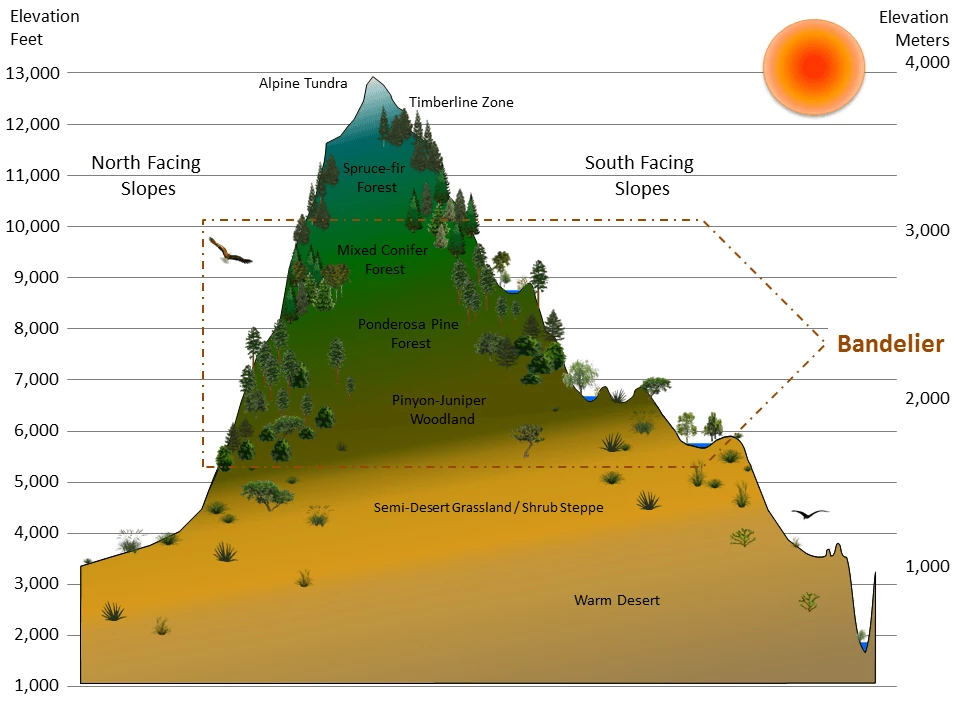 Bandelier National Monument life sones Graphic of a mountain divided into illustrated vegetation zones by elevation and exposure, with the elevations that correspond to Bandelier National Monument highlighted
