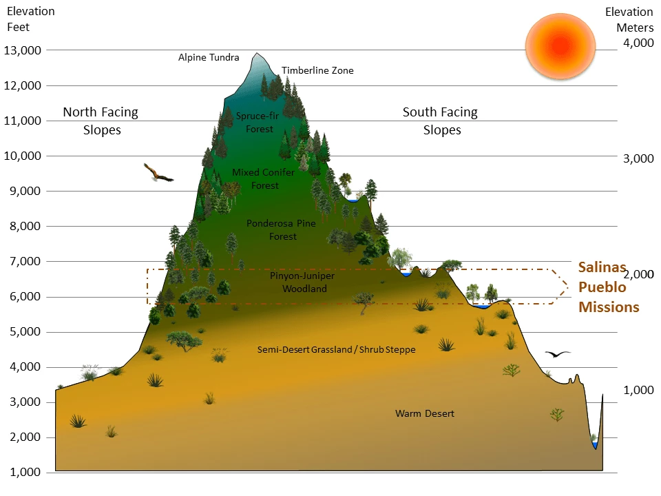 Salinas Pueblo Missions National Monument life zones Graphic of a mountain divided into illustrated vegetation zones by elevation and exposure, with the elevations that correspond to Salinas Pueblo Missions National Monument highlighted