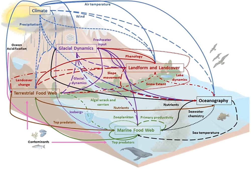 conceptual model_web A conceptual model of ecosystem interactions from glaciers to ocean.