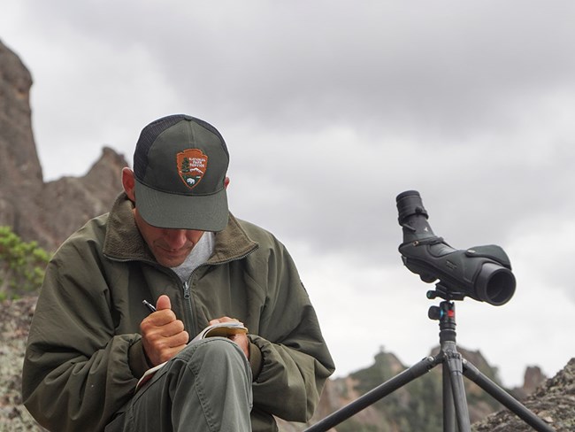 xDSC01658 Pinnacles wildlife biologist takes measurements.