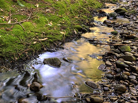Water runs through rocky creek at Golden Gate's Phleger estate. Water runs through rocky creek.