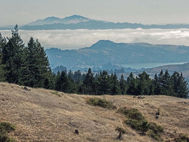xx_pc_Mt Diablo from Dipsea Trail b9351 View of Mount Diablo from the Dipsea trail on a cloudy day.