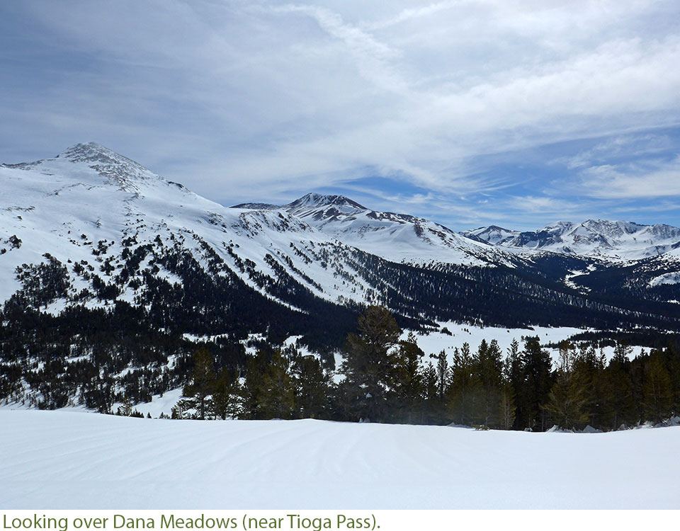 View of Dana Meadows from above