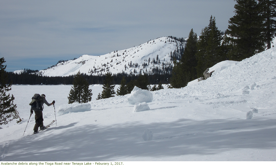 Skier near avalanche debris along Tioga Road near Tenaya Lake