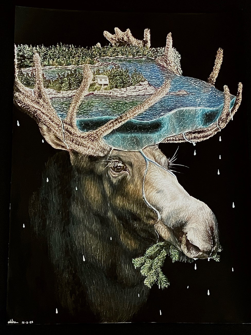 painting of a moose munching on an evergreen branch in front of a black background and holding a dripping slice of Scoville Point in its antlers featuring a small cabin, woods, and a slice of Lake Superior