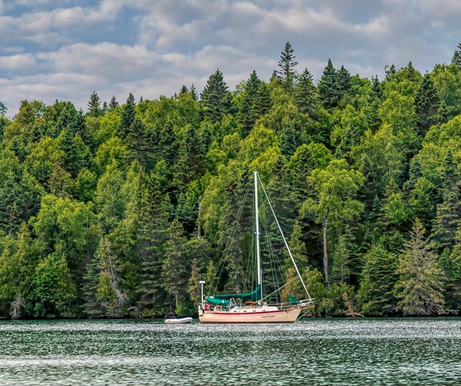 A sailboat floats in Washington Harbor.