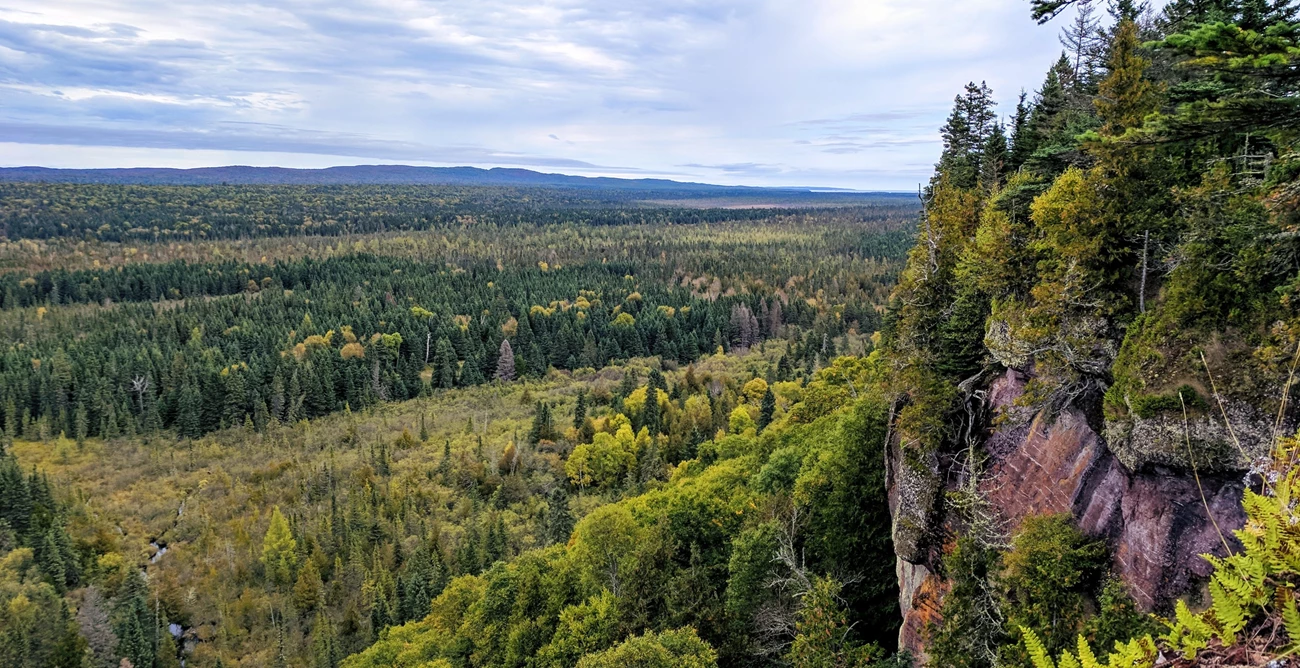 Feldtmann Ridge Trail Cliff Valley View of a cliff side overlooking a forest and a ridgeline in the distance.