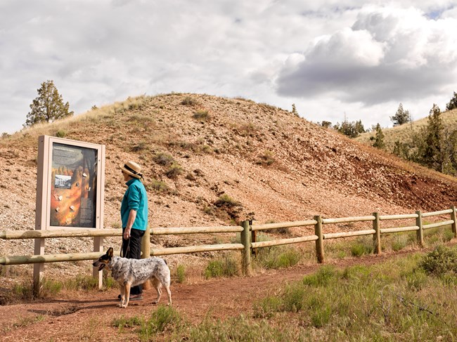 A woman reads an outdoor sign. Her dog, on leash, is standing next to her and appears to be looking at the sign as well.