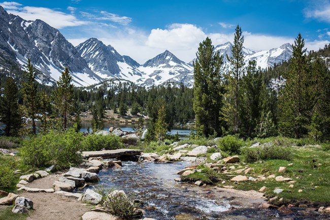 A small creek with stones leads to trees and high mountain terrain.